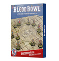 Blood Bowl Bretonnian Brionne Barons Pitch and Dugouts